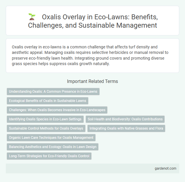 Oxalis Overlay in Eco-Lawns: Benefits, Challenges, and Sustainable Management