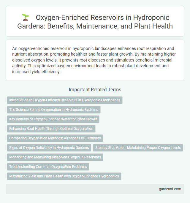 Oxygen-Enriched Reservoirs in Hydroponic Gardens: Benefits, Maintenance, and Plant Health