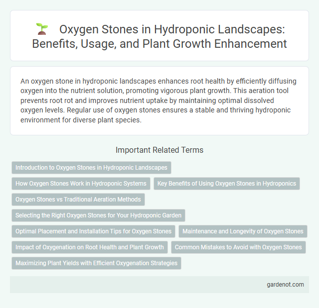 Oxygen Stones in Hydroponic Landscapes: Benefits, Usage, and Plant Growth Enhancement