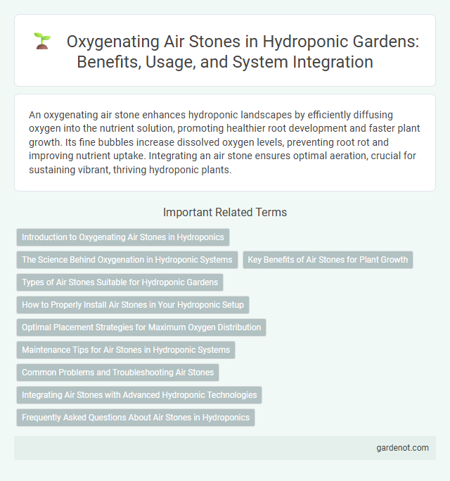 Oxygenating Air Stones in Hydroponic Gardens: Benefits, Usage, and System Integration