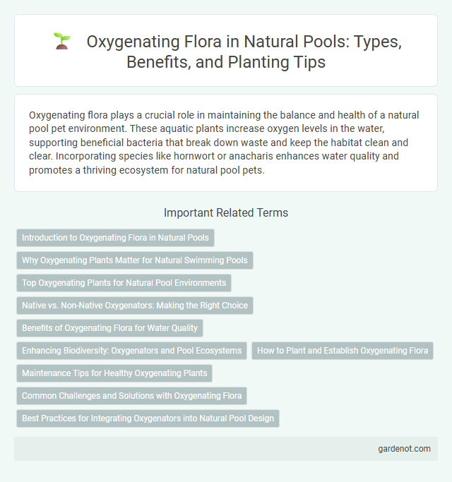 Oxygenating Flora in Natural Pools: Types, Benefits, and Planting Tips