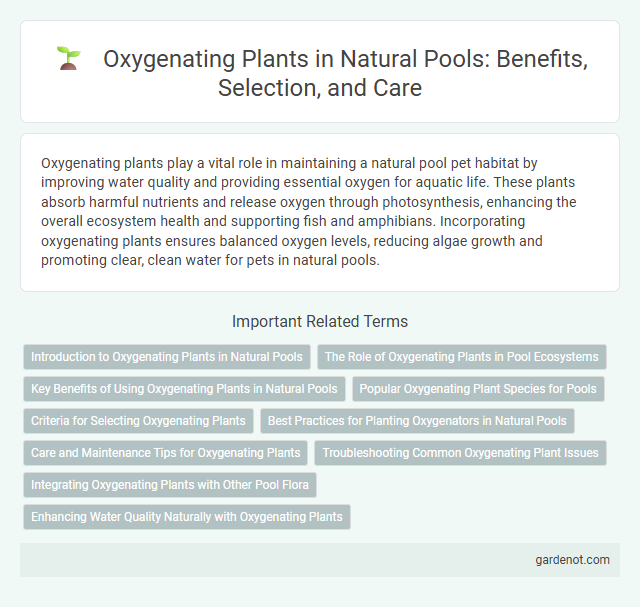 Oxygenating Plants in Natural Pools: Benefits, Selection, and Care