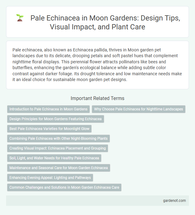 Pale Echinacea in Moon Gardens: Design Tips, Visual Impact, and Plant Care