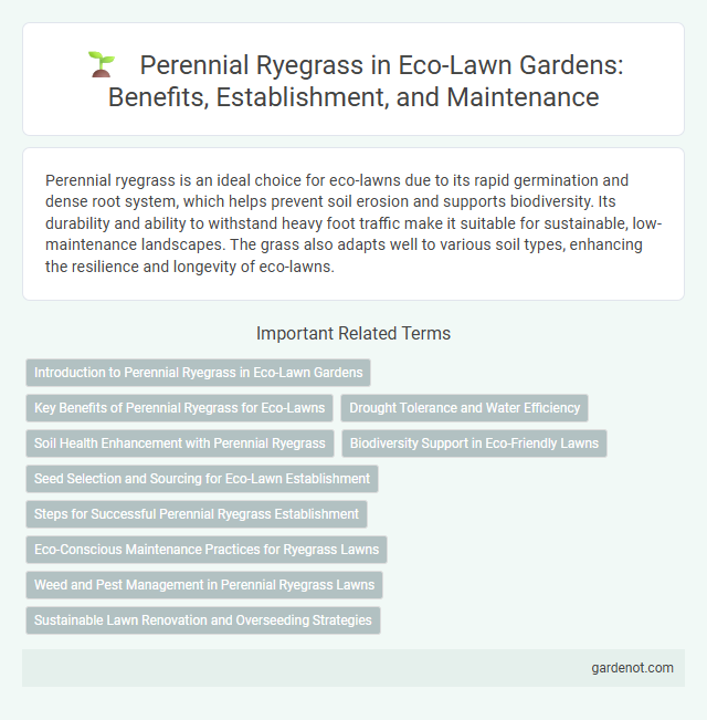 Perennial Ryegrass in Eco-Lawn Gardens: Benefits, Establishment, and Maintenance