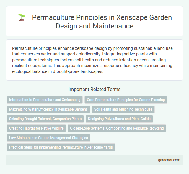 Permaculture Principles in Xeriscape Garden Design and Maintenance