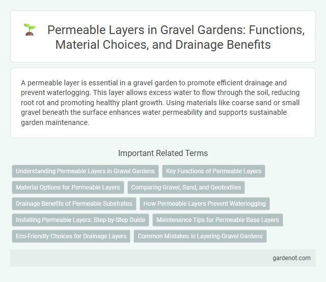 Permeable Layers in Gravel Gardens: Functions, Material Choices, and Drainage Benefits