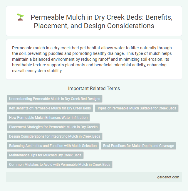 Permeable Mulch in Dry Creek Beds: Benefits, Placement, and Design Considerations