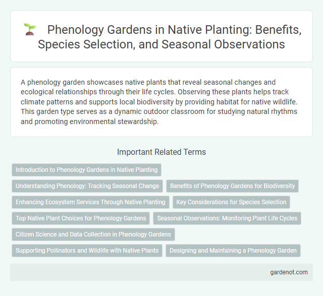Phenology Gardens in Native Planting: Benefits, Species Selection, and Seasonal Observations