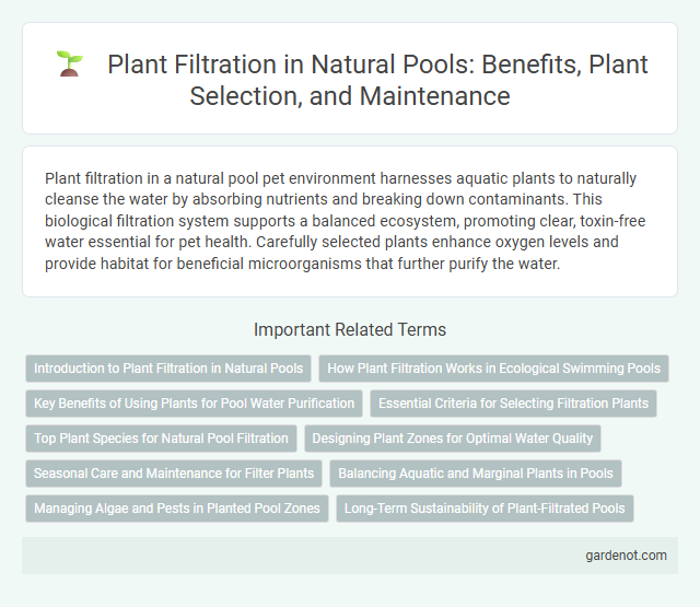 Plant Filtration in Natural Pools: Benefits, Plant Selection, and Maintenance