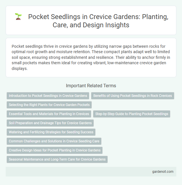 Pocket Seedlings in Crevice Gardens: Planting, Care, and Design Insights