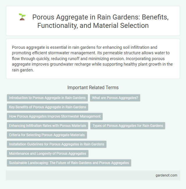 Porous Aggregate in Rain Gardens: Benefits, Functionality, and Material Selection