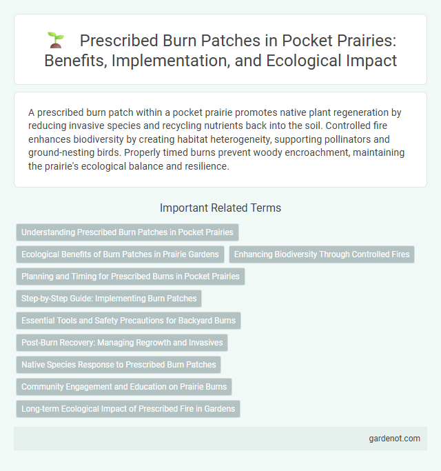 Prescribed Burn Patches in Pocket Prairies: Benefits, Implementation, and Ecological Impact