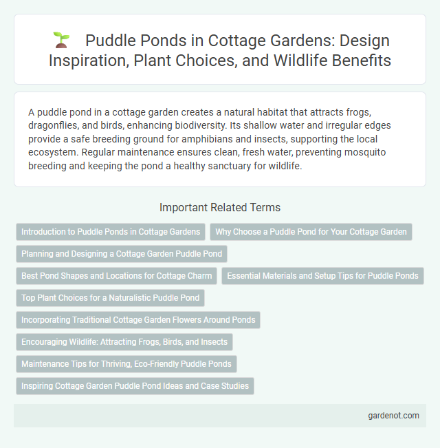 Puddle Ponds in Cottage Gardens: Design Inspiration, Plant Choices, and Wildlife Benefits