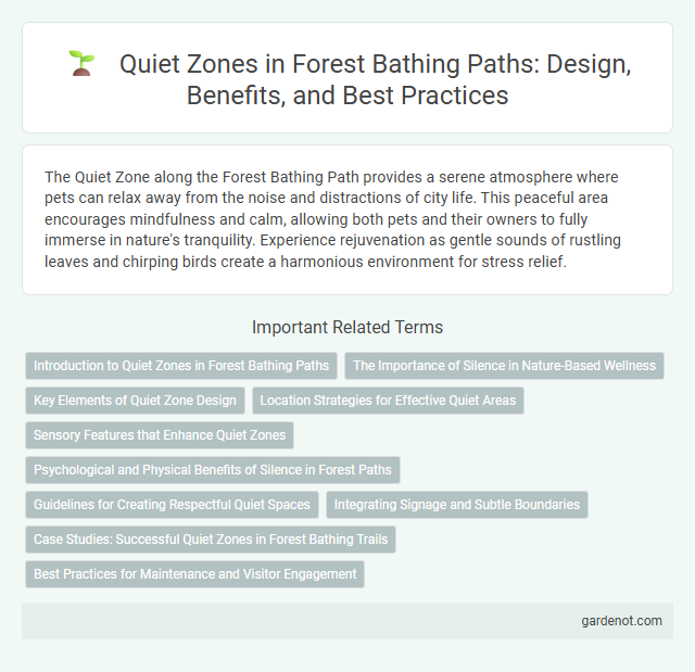 Quiet Zones in Forest Bathing Paths: Design, Benefits, and Best Practices