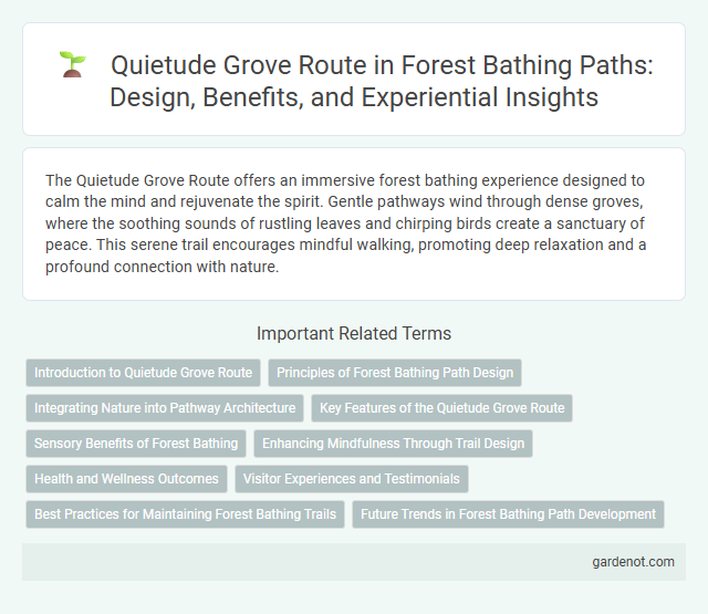 Quietude Grove Route in Forest Bathing Paths: Design, Benefits, and Experiential Insights