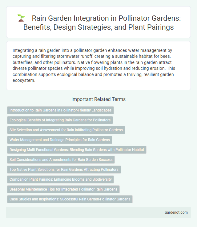 Rain Garden Integration in Pollinator Gardens: Benefits, Design Strategies, and Plant Pairings