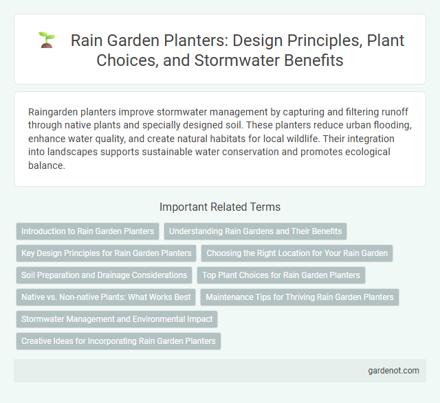 Rain Garden Planters: Design Principles, Plant Choices, and Stormwater Benefits