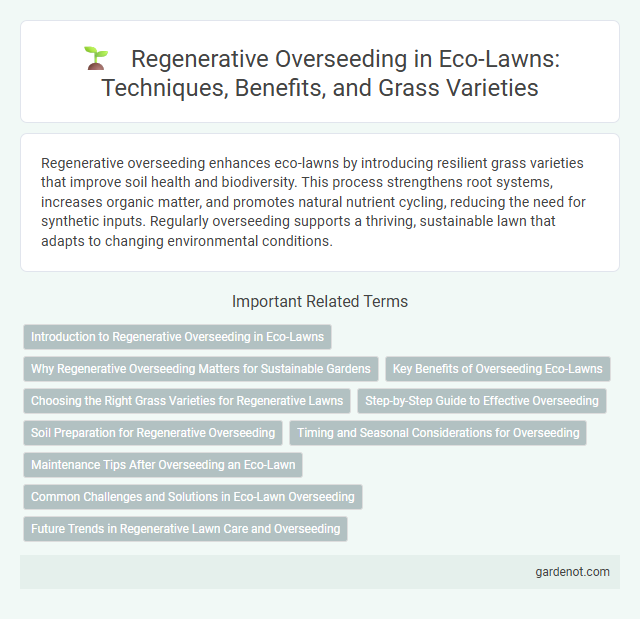 Regenerative Overseeding in Eco-Lawns: Techniques, Benefits, and Grass Varieties