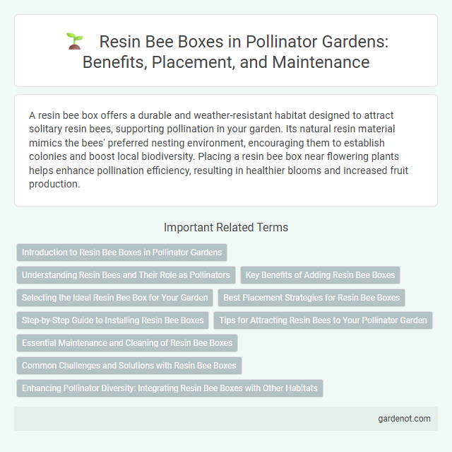 Resin Bee Boxes in Pollinator Gardens: Benefits, Placement, and Maintenance