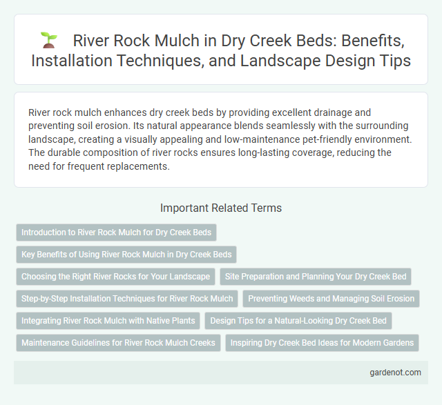 River Rock Mulch in Dry Creek Beds: Benefits, Installation Techniques, and Landscape Design Tips