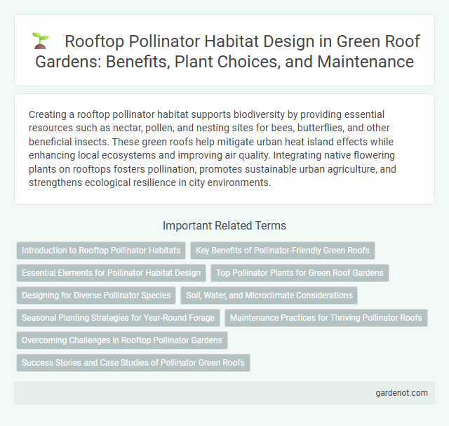 Rooftop Pollinator Habitat Design in Green Roof Gardens: Benefits, Plant Choices, and Maintenance