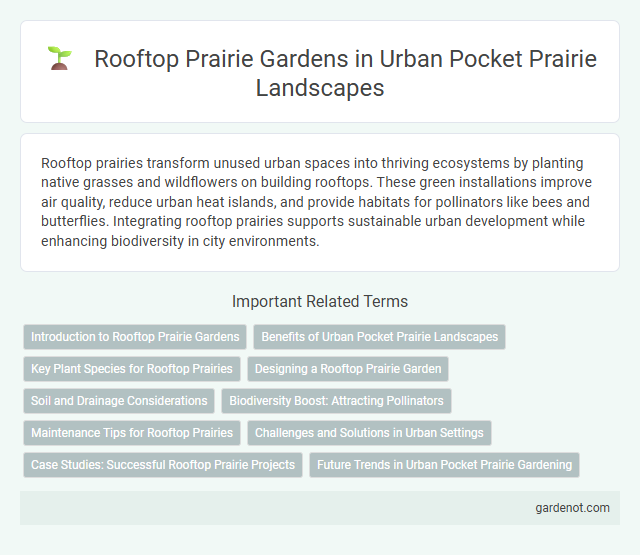 Rooftop Prairie Gardens in Urban Pocket Prairie Landscapes