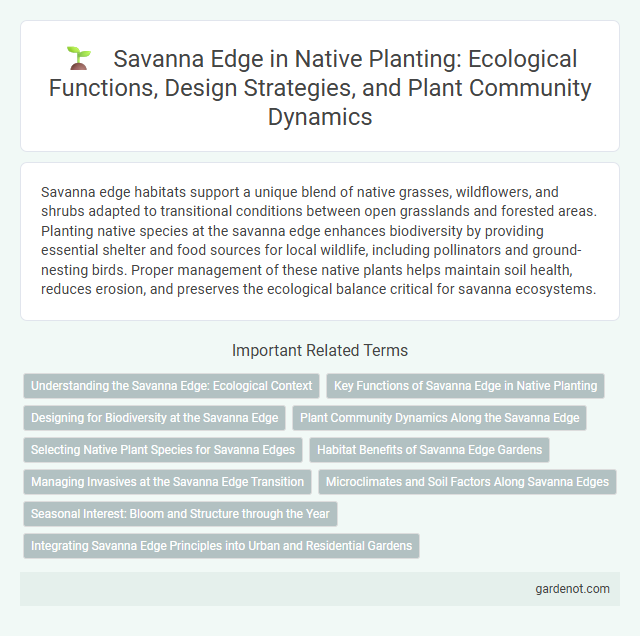 Savanna Edge in Native Planting: Ecological Functions, Design Strategies, and Plant Community Dynamics