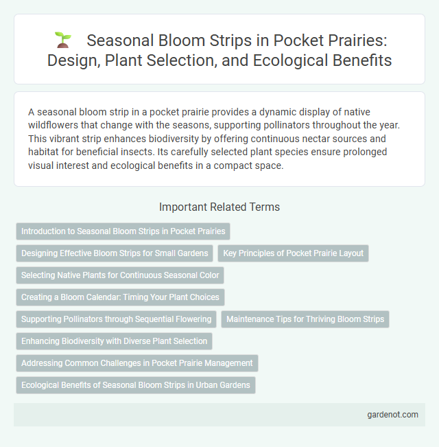 Seasonal Bloom Strips in Pocket Prairies: Design, Plant Selection, and Ecological Benefits