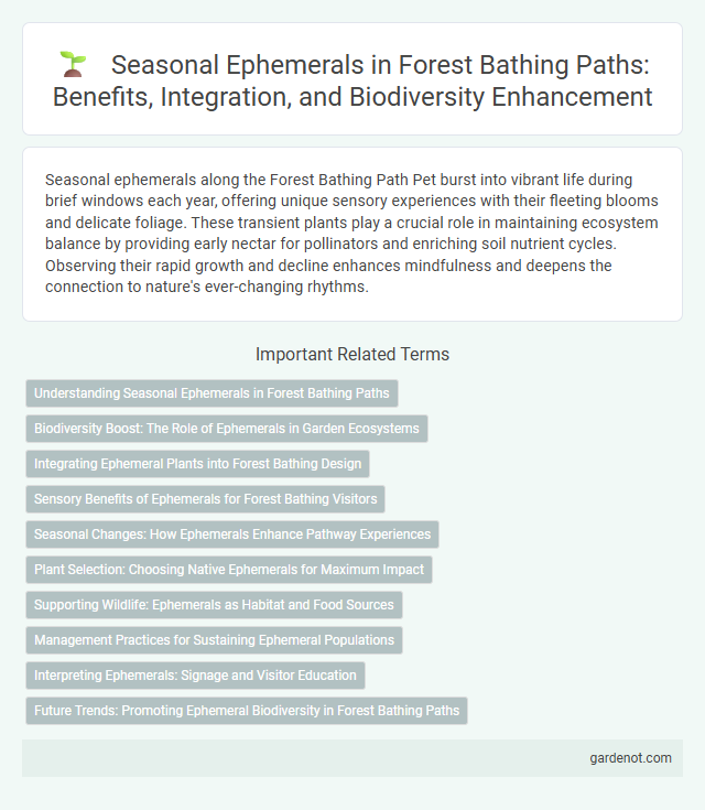 Seasonal Ephemerals in Forest Bathing Paths: Benefits, Integration, and Biodiversity Enhancement