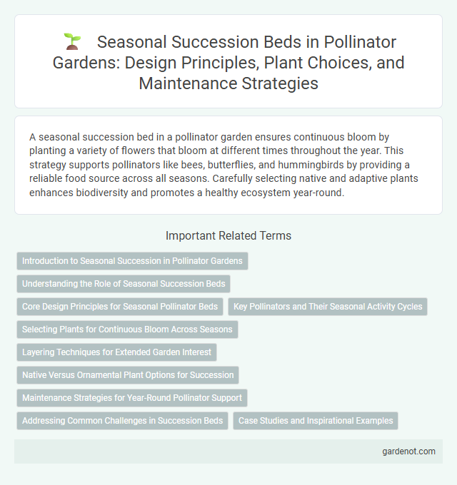 Seasonal Succession Beds in Pollinator Gardens: Design Principles, Plant Choices, and Maintenance Strategies