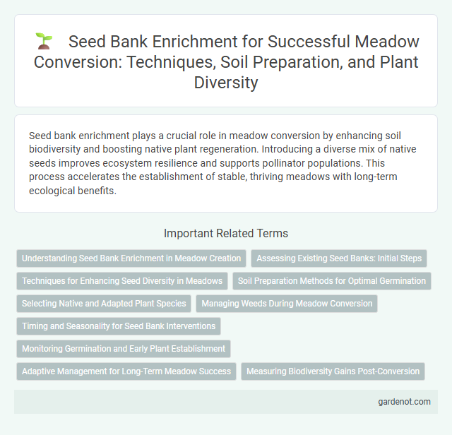 Seed Bank Enrichment for Successful Meadow Conversion: Techniques, Soil Preparation, and Plant Diversity