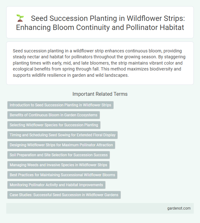 Seed Succession Planting in Wildflower Strips: Enhancing Bloom Continuity and Pollinator Habitat
