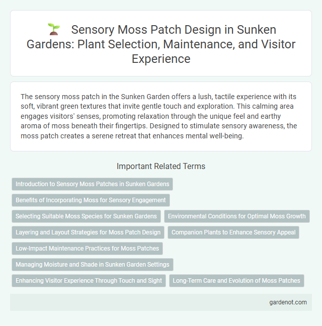 Sensory Moss Patch Design in Sunken Gardens: Plant Selection, Maintenance, and Visitor Experience