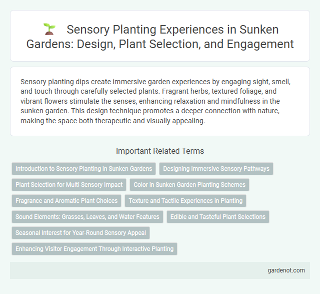 Sensory Planting Experiences in Sunken Gardens: Design, Plant Selection, and Engagement