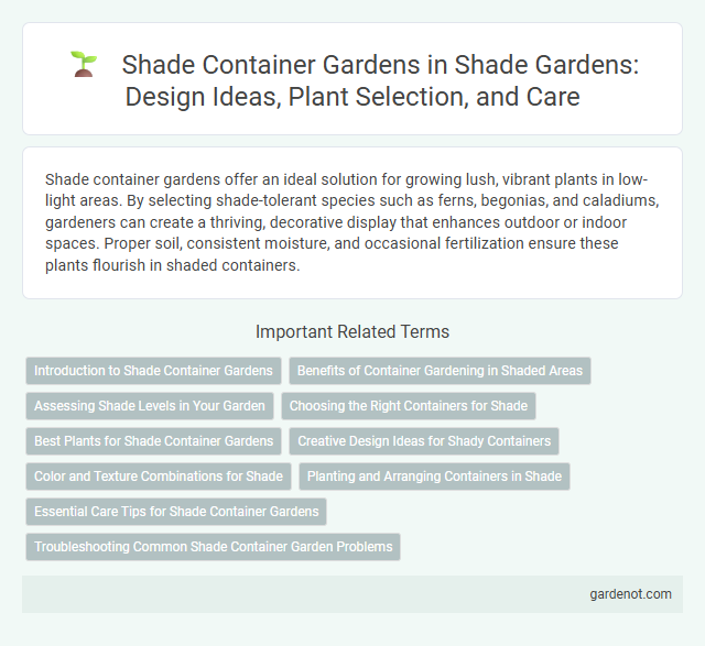 Shade Container Gardens in Shade Gardens: Design Ideas, Plant Selection, and Care