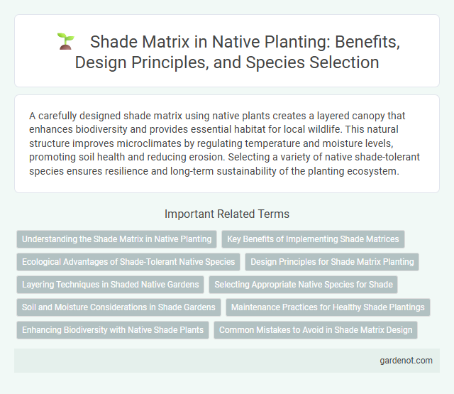 Shade Matrix in Native Planting: Benefits, Design Principles, and Species Selection