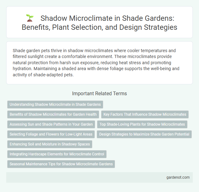Shadow Microclimate in Shade Gardens: Benefits, Plant Selection, and Design Strategies