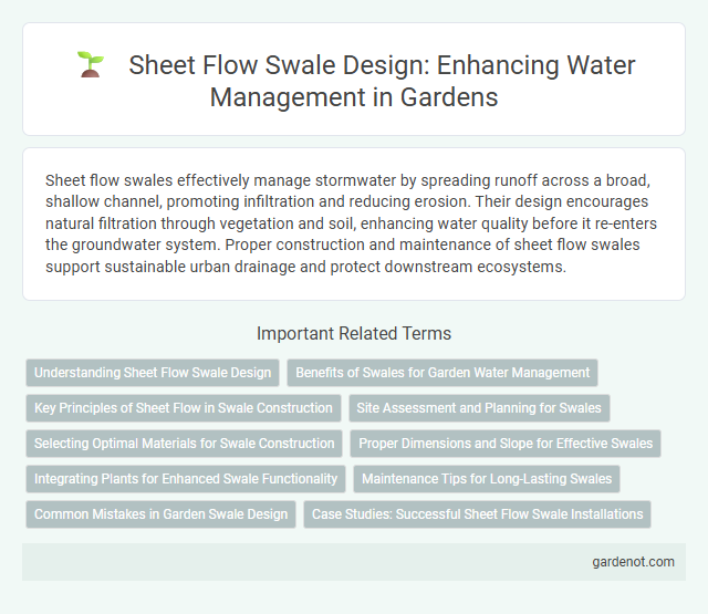 Sheet Flow Swale Design: Enhancing Water Management in Gardens