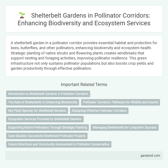 Shelterbelt Gardens in Pollinator Corridors: Enhancing Biodiversity and Ecosystem Services