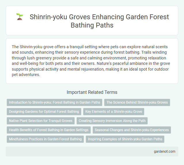 Shinrin-yoku Groves Enhancing Garden Forest Bathing Paths