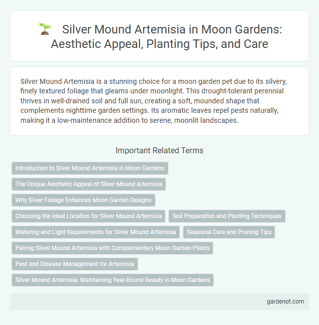 Silver Mound Artemisia in Moon Gardens: Aesthetic Appeal, Planting Tips, and Care