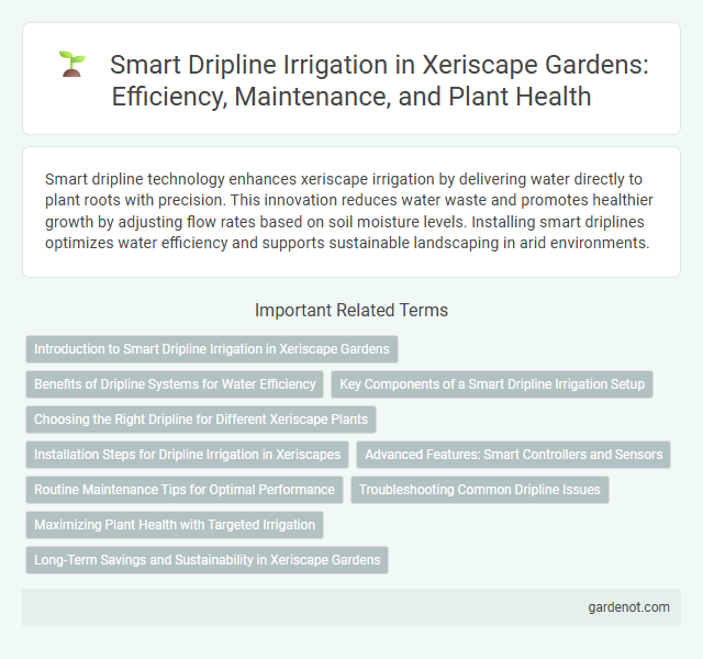 Smart Dripline Irrigation in Xeriscape Gardens: Efficiency, Maintenance, and Plant Health