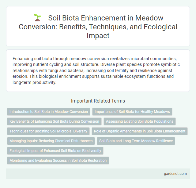 Soil Biota Enhancement in Meadow Conversion: Benefits, Techniques, and Ecological Impact