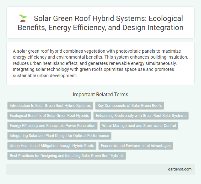 Solar Green Roof Hybrid Systems: Ecological Benefits, Energy Efficiency, and Design Integration
