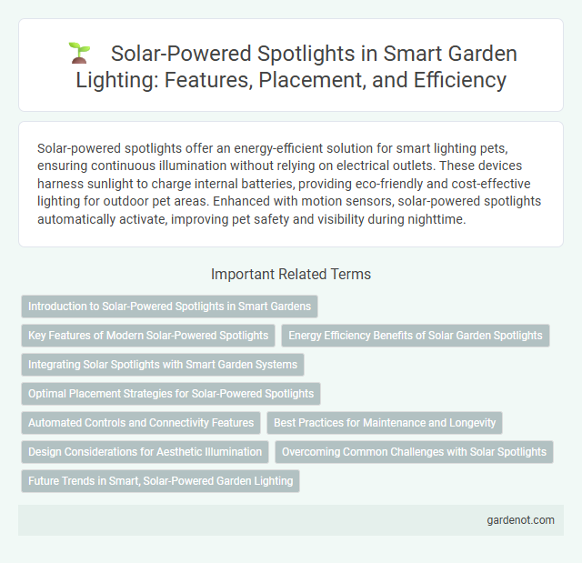 Solar-Powered Spotlights in Smart Garden Lighting: Features, Placement, and Efficiency