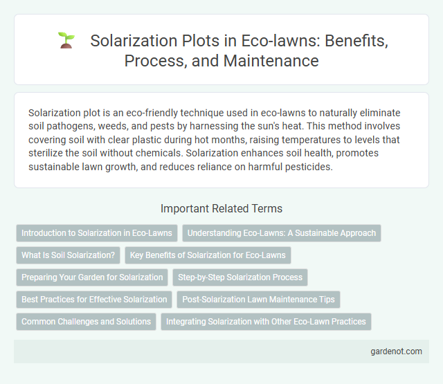 Solarization Plots in Eco-lawns: Benefits, Process, and Maintenance