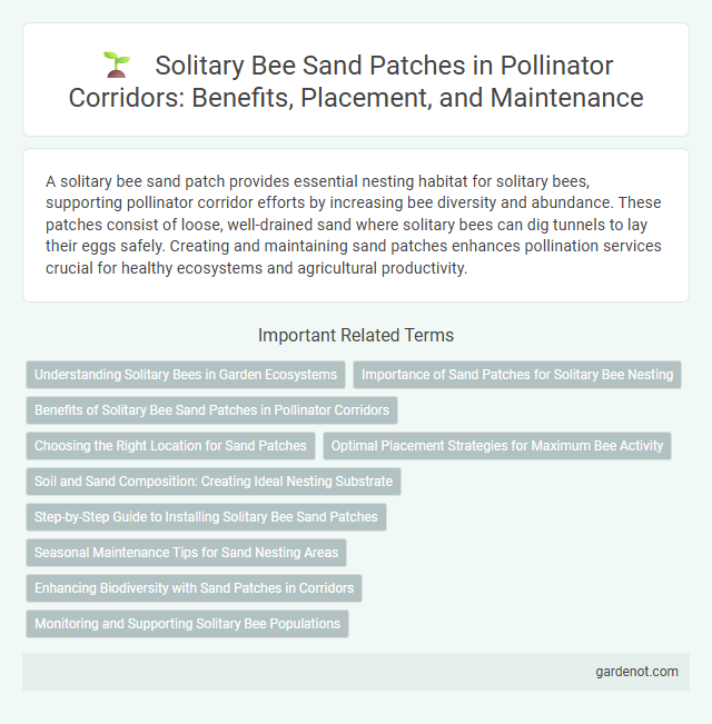 Solitary Bee Sand Patches in Pollinator Corridors: Benefits, Placement, and Maintenance