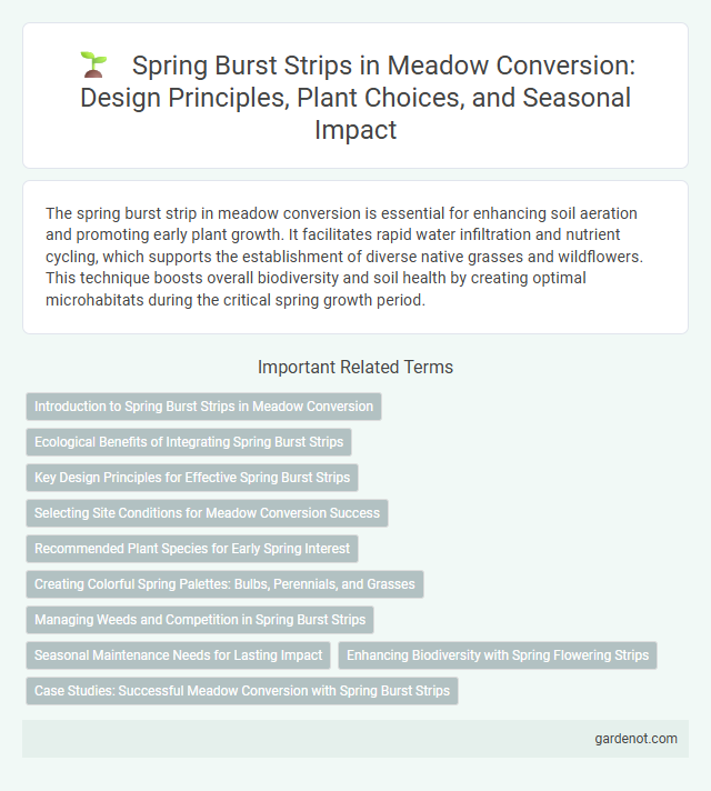 Spring Burst Strips in Meadow Conversion: Design Principles, Plant Choices, and Seasonal Impact