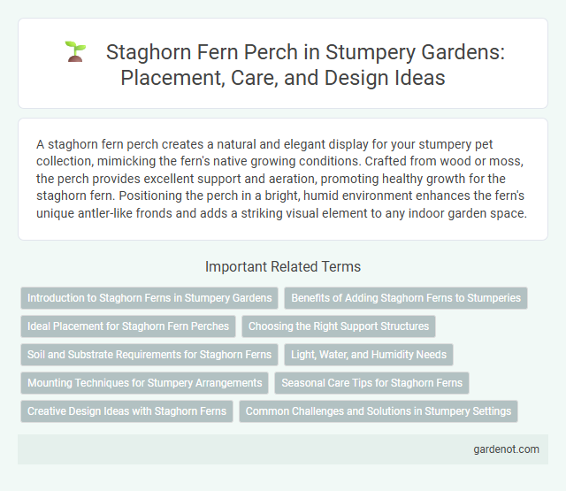 Staghorn Fern Perch in Stumpery Gardens: Placement, Care, and Design Ideas