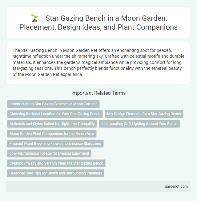 Star Gazing Bench in a Moon Garden: Placement, Design Ideas, and Plant Companions